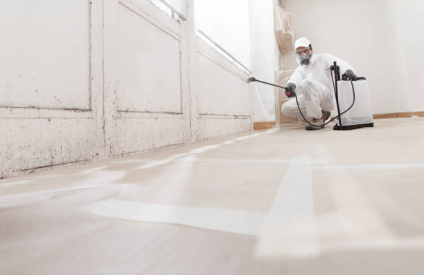 24/7 Emergency Crawl Space Mold Remediation experts in Suffolk, VA